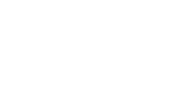 MARS Logo